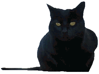 blackcat.gif
