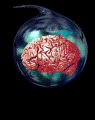 brain_in_bottle.gif