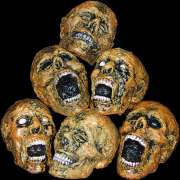 heads_sixpack.jpg