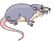 img200604212100150807.gif